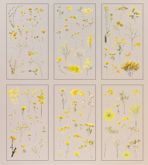 Наклейки декоративные, Мимоза, 6 шт.