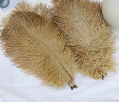 Перья, Латте, 15-20 см, 10 шт.